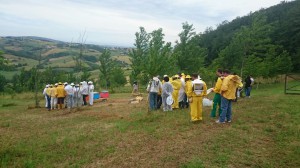 Apiario Didattico Riccia 2016