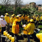 Gruppo AIACeNa 2016 Palma