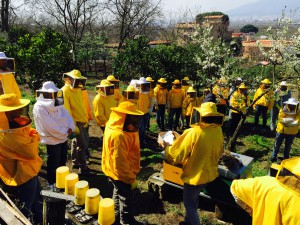 Gruppo AIACeNa 2016 Palma