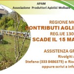 Banner web site 1308 17 Molise