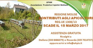 Banner web site 1308 17 Molise