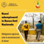 Indentificazione e Rintracciabilità