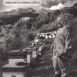 api ambiente e apicoltori